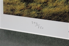 Old Head Golf Links 4th Hole Razors Edge' Ltd Ed 392/850 Print Signed by Artist Grandison - Framed