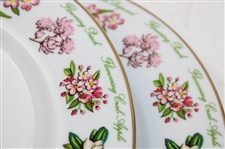 2015 Augusta National Ltd Ed Employee Masters Gift Tiffany & Co Beautification Plates In Box w/Card
