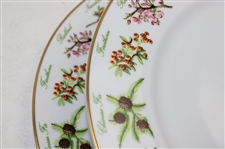 2015 Augusta National Ltd Ed Employee Masters Gift Tiffany & Co Beautification Plates In Box w/Card