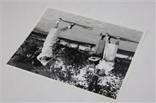 A Healthy Poke By The Babe Wire Photo