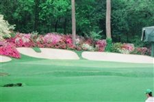 Jack & Arnie Signed Azalea 13th Hole 16x20 Photo JSA ALOA