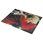 Jack Nicklaus Signed Post-Swing in Red Sweater 14x20 JSA ALOA