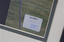 Jack Nicklaus Authentic Ltd Ed 91/250 Swatch From Game Worn Shirt from The Golden Bear - Framed