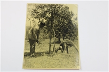 Six (6) Joe Kirkwood Original Photos - Gus Inglis 1921 Wire Photo, China 1938, Young Man, Kirkwood With Kangaroo, Young Man & Holding Club