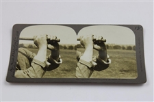 Four (4) Vintage Harry Vardon Bay State Publishing Golf Stereocards #393, #396, #412 & #519