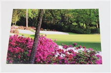 Tiger Woods Gold Signature Mini Wheaties Box w/Tiger Woods & Augusta National Course Photos