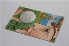 Vintage Springvale Hawk Bramble Ball Travel & Advertising Postcard