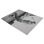 Ben Hogan Post Swing B & W Photo On Board