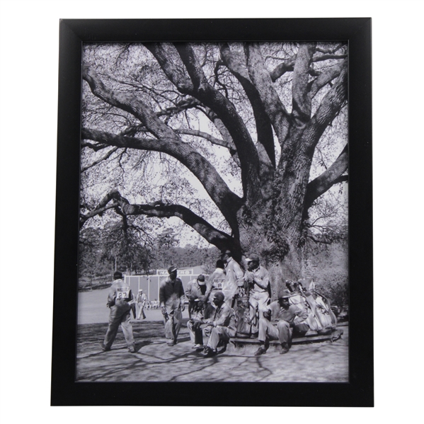 Augusta Caddies Sitting Under The Big Oak Tree Frank Christian Photo - Framed