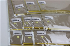 Ten (10) 2025 PGA Championship at Quail Hollow Official Unopened Screen Flags - Scheffler Winner