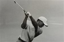 Jules Alexander Signed Tiger Woods Oversize Photo Print - Framed JSA ALOA