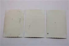 Fifteen (15) Original Photos of New York's Historic Ebbets Field (1913-1957)