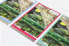 2023 Masters Tournament Monday, Tuesday & Wednesday Tickets