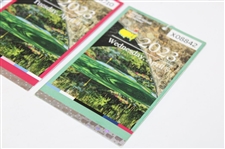 2023 Masters Tournament Monday, Tuesday & Wednesday Tickets