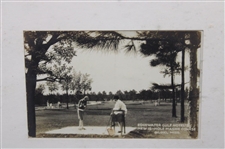 Roanoke, Lake Lure, Edgewater & Bird's Eye View Vintage Golf Course Postcards - Framed