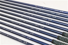 Chi Chi Rodriguez's Personal Kasco VS Tour Shockless Steel SA502 Iron Set (2-PW) 