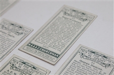 Seven (7) 1928 W. A. & A. C. Churchman Imperial Tobacco Men Of The Moment In Sport Cards
