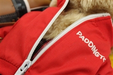 Vintage 1975 Paddington Bear Golfer with Bag & Shoes in Rain Suit - Peru Eden Toys