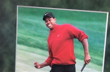 Upperdeck Be Yourself Tiger Woods Photo - Framed