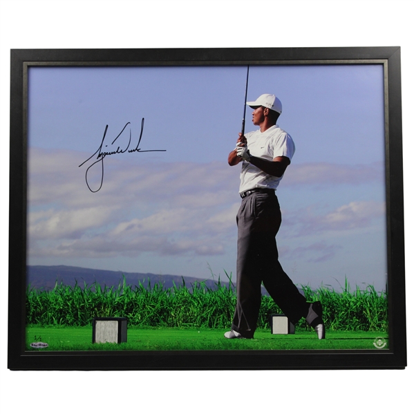 Tiger Woods Signed Ltd 1/1 Oversize 16x20 Post-Swing UDA Photo - Framed UDA #BAJ35966
