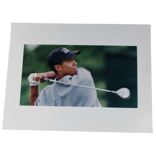 1995 Tiger Woods Post Swing Photo From His Masters Debut w/Denver Post Archives Authentic Sticker