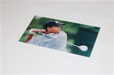 1995 Tiger Woods Post Swing Photo From His Masters Debut w/Denver Post Archives Authentic Sticker