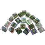 A Collection of Twenty-One Masters Tournament SERIES Badges 2004-2025