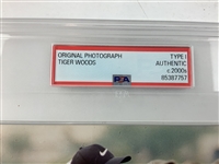 Tiger Woods Original Type I Photograph Authenticated by PSA c. 2000s