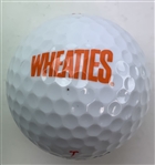 Jim Nantz & Hank Haney Signed Golf Balls JSA ALOA