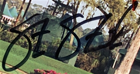 2010 Stars of Golf W/Rory, DJ - 13 Signed On TPC Sawgrass 17th Hole Photo JSA ALOA
