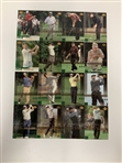 A Collection of 2002 Upper Deck Golf Trading Cards Including Rookie Cards and Subsets