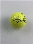 Sorenstam & Lopez Signed Golf Balls JSA ALOA