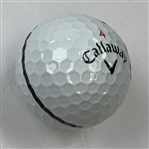 Zach Johnson, Adam Scott & Xander Schauffele Signed Golf Balls JSA ALOA